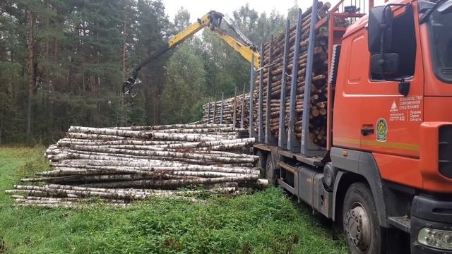 Погрузка леса на лесовоз смотреть онлайн