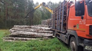 Погрузка леса на лесовоз