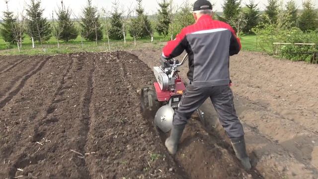 Как быстро посадить картошку? Нарезаем гряды мотоблоком МОБИЛ К МКМ-4!
