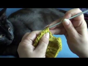 ВЯЗАНИЕ КРЮЧКОМ. Урок 16. Рачий шаг, 2 варианта