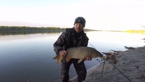 ПОПАЛ НА ВЫХОД САЗАНОВ!!! КЛЮЁТ НА КАЖДОМ ЗАБРОСЕ!!! Рыбалка на Оби, такого я ещё не видел!!!