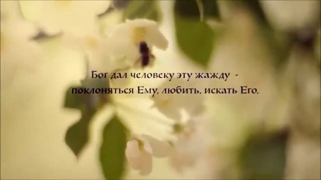 Молитва св Трифону смотреть онлайн