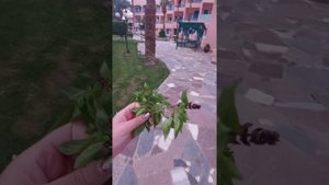Обзор отеля Le Pacha Resort Хургада, Египет январь 2022