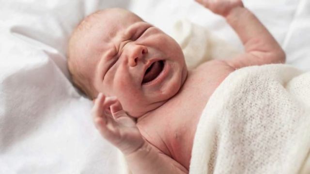 Тушда чакалок курса унгда нима булади смотреть онлайн