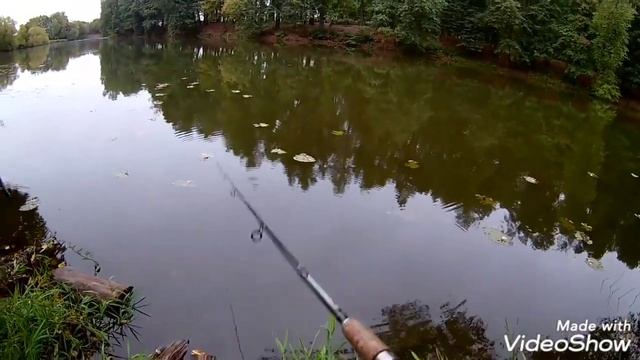 Рыбалка в Остафьево! смотреть онлайн