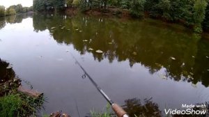 Рыбалка в Остафьево!