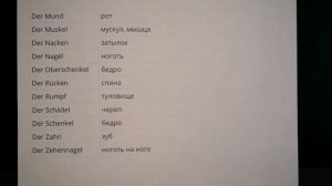26 Урок, немецкий язык, учим части тела с артиклем der