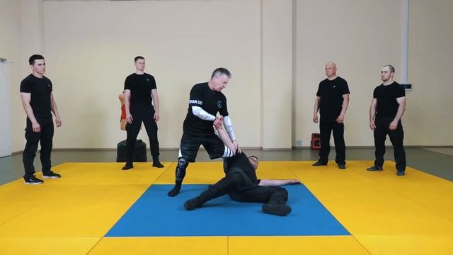 Единство базовых Техник. Секреты боевого искусства Шан Ги. смотреть онлайн