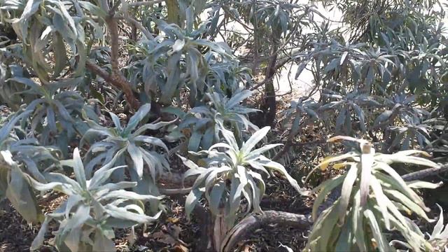 Лох настоящий, вот что это...))) смотреть онлайн