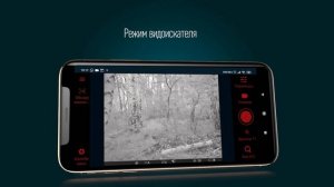 Видеоинструкция к приложению Stream Vision