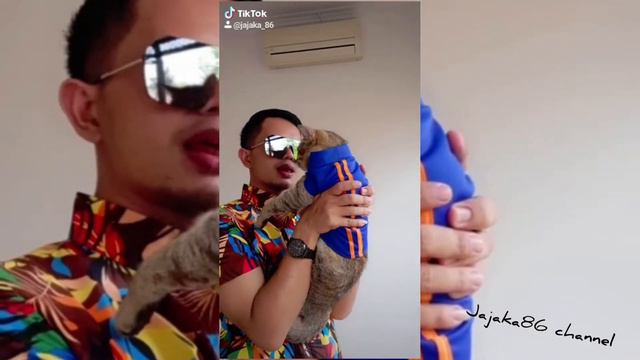 TIKTOK MOCCA KUCING LUCU смотреть онлайн