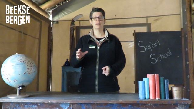 Safari School (Goed aangepast!) смотреть онлайн