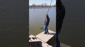 рыбалка рыбалка в подмосковье карп ловля карпа суперкарп белеутово fishing