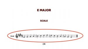 VIOLIN DROPS - Every scale you play - E MAJOR ONE OCTAVE EXTENDED