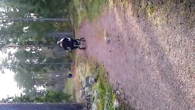 Alex åker rulator . смотреть онлайн