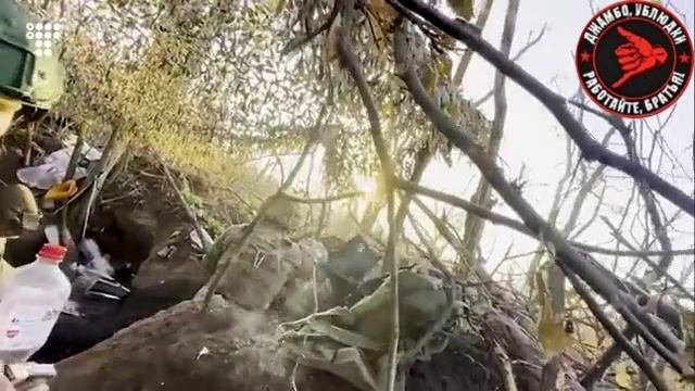 Адептам мультикама посвящается! Мы ЧВК Ветеран! Свои! Свои! Проходи!