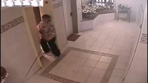 Мопсу чуть не оторвало голову лифтом