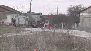 Деревня Березино. Дятьковский район. Брянская область.