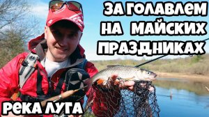 Голавль в мае, рыбалка на майских праздниках.