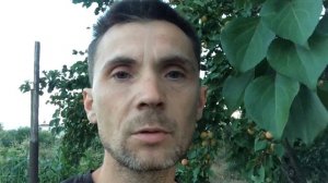 Обрезка ботвы и корней чеснока. Автоматизация в быту