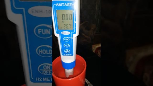 Сурица - Белый Лён (золотой). смотреть онлайн