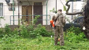 Газон на сорняки 2. Второй покос травы. Косим траву триммером. Как посадить газон своими рукам?