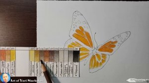 как нарисовать бабочку how to draw a butterfly как нарисовать бабочку цветными карандашами