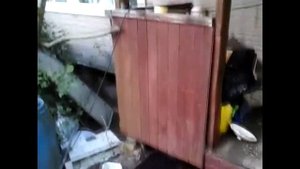 Чем покрасить крыльцо?!. Мой вариант.