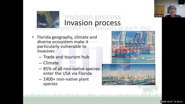 Invasives 1 смотреть онлайн