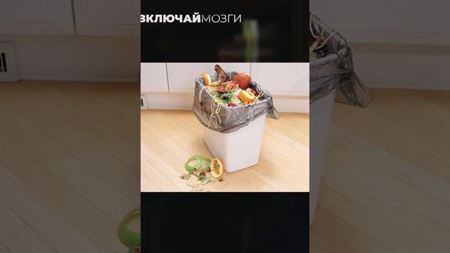 Включай Мозги — Про помойное ведро