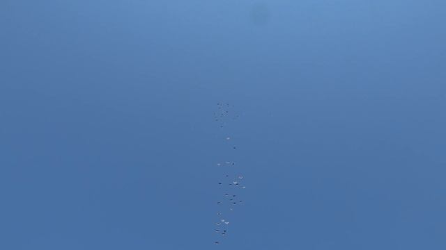 Тренировка голубей 30.04.2020 смотреть онлайн