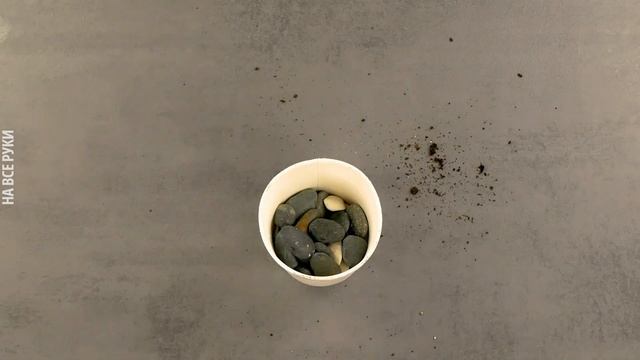 Очаровательный ВЕСЕННИЙ ДЕКОР Своими Руками ?? DIY Идеи с Живыми Цветами