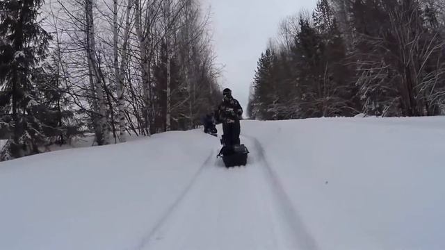 Сива 24.02.2017 смотреть онлайн