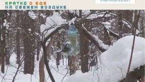 Мастер-класс кормушка для птиц из пластиковых бутылок. NOVA-2X