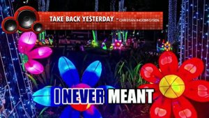TAKE BACK YESTERDAY  - CHRISTIAN INGEBRIGTSEN ♫ KARAOKE VERSION ♫