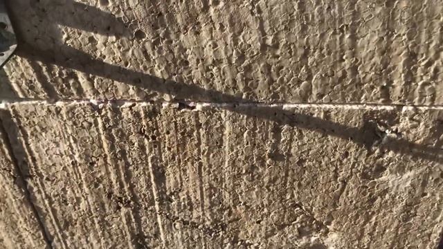 Зимний Курятник для несушек за 1 день из пенопласта, как быстро построить своими руками
