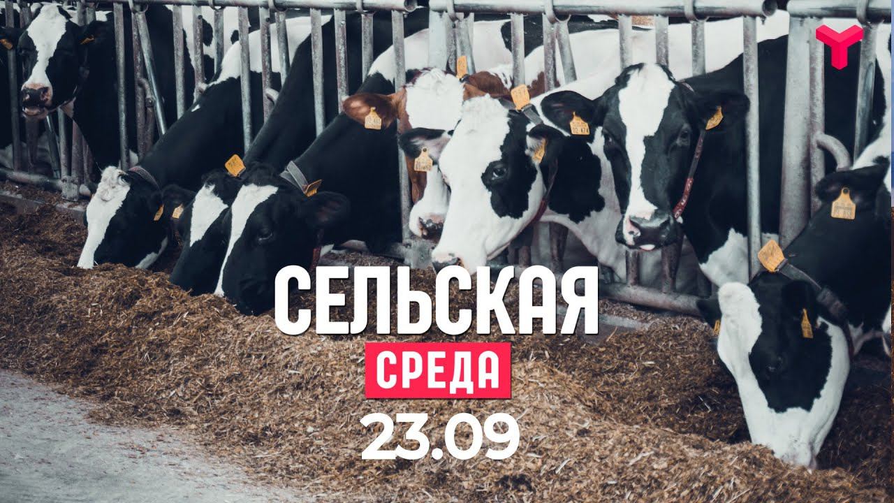 Сельская среда вопросы. Сельская среда. Сельская среда Тюменское время. Сельская среда Тюменское время последний выпуск. Сельское среда агроциносс и экоциносс,.