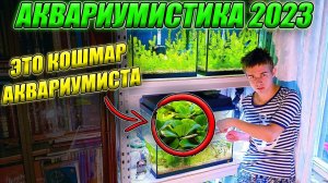 Аквариумистика 2023 От ЭТОГО нужно ИЗБАВЛЯТЬСЯ! ГЛАВА 1