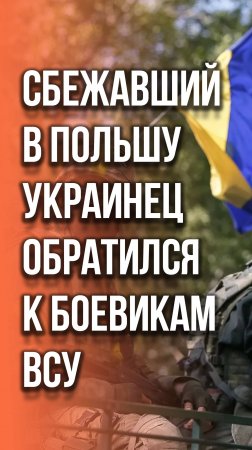 «Разворачивайтесь!» Украинцы, которые уже прозрели, призывают ВСУ к свержению Зеленского