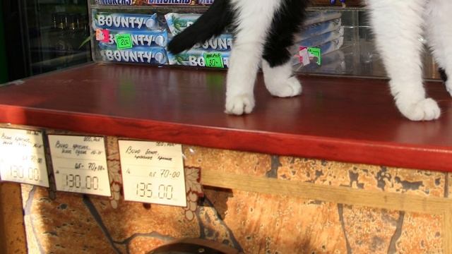 Женщина вернулась из тюрьмы с младенцем на руках. Переступив порого материнского дома, она оторопел смотреть онлайн