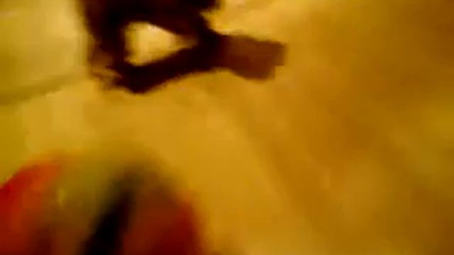 шарпей боится шописец смотреть онлайн