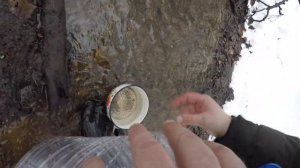КАК ИСКАТЬ ОКАМЕНЕЛОСТИ ПОИСК ОКАМЕНЕЛОСТЕЙ БЕЛЕМНИТОВ SEARCH OF FOSSILS OF BELEMNITES