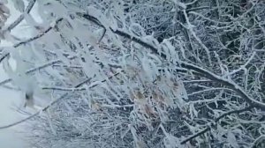 А зима будет долгой . Визбор