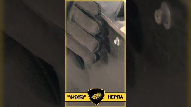 Аэролодки "Нерпа" не сдуваются, не рвутся! Нерпа 450.0 л.с. модель 1010 с дизельным мотором Обзор