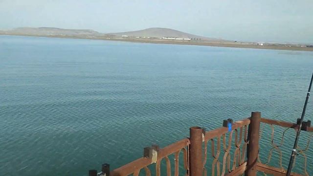 Рыбалка.Каспийское море.Кутум #рыбалка #каспийскоеморе