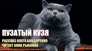 Толстый кот Кузя был всем недоволен. Пока не повстречал тощего черного кота, изменившего его взгляды