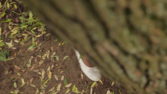 Подарок жениху от невесты | Сюрприз для жениха смотреть онлайн