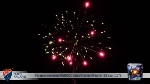 Батарея салютов PKU5001 Самый лучший день (13 зар. 1,2)