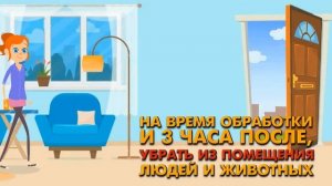 Как подготовить квартиру к обработке от клопов и что делать после?