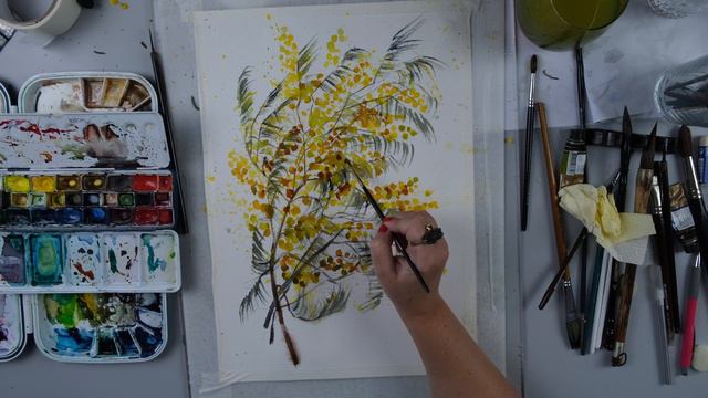 Как нарисовать МИМОЗУ: букет цветов, рисунок, акварель, поэтапно смотреть онлайн